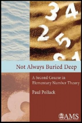 Kniha Not Always Buried Deep Paul Pollack