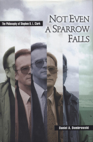 Book Not Even a Sparrow Falls Daniel A. Dombrowski