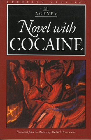 Könyv Novel with Cocaine Michael Henry Heim