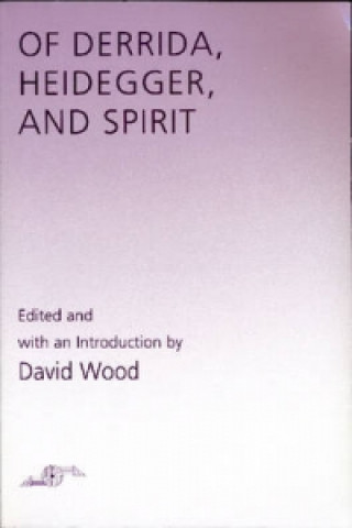 Könyv Of Derrida Heidegger & Spirit David (University of Southampton UK) Wood