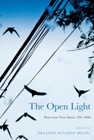 Kniha Open Light Orlando Ricardo Menes