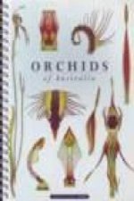 Orchids of Australia