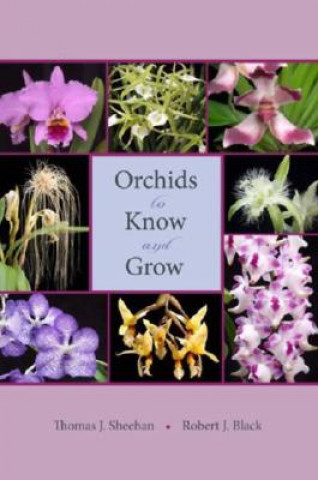 Książka Orchids to Know and Grow Robert J. Black