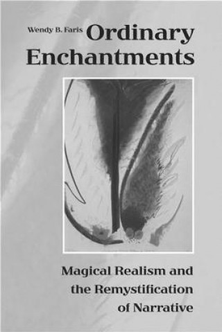 Buch Ordinary Enchantments Wendy B. Faris