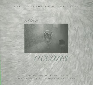 Βιβλίο Other Oceans Thomas Farber