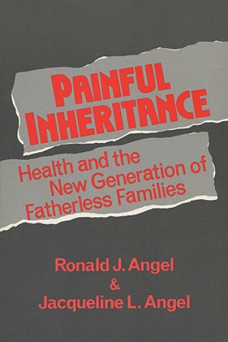 Kniha Painful Inheritance Jacqueline Lowe Angel