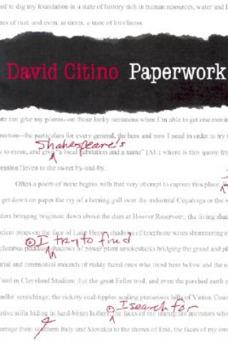 Livro Paperwork David Citino