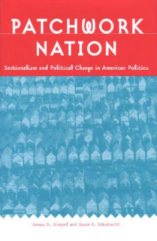 Book Patchwork Nation Jason E. Schuknecht