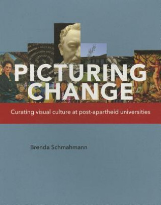 Kniha Picturing Change Brenda Schmahmann