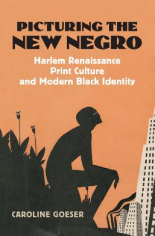 Buch Picturing the New Negro Caroline Goeser