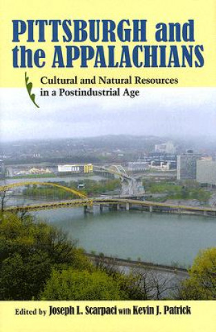 Könyv Pittsburgh and the Appalachians Richard Florida