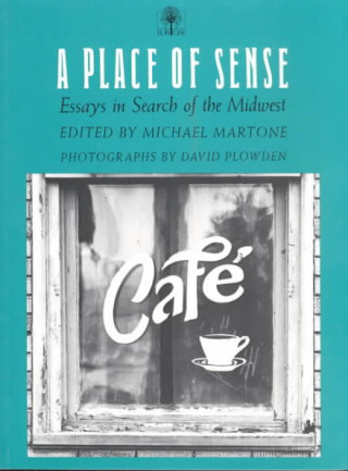 Kniha Place of Sense Michael Martone