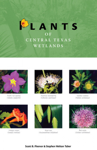 Carte Plants of Central Texas Wetlands Stephen Welton Taber