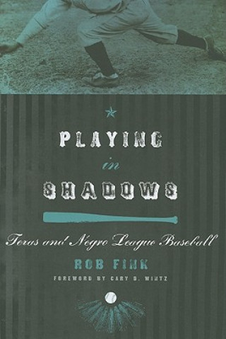 Könyv Playing in Shadows Rob Fink