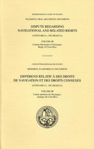 Книга Dispute regarding navigational and related rights International Court of Justice