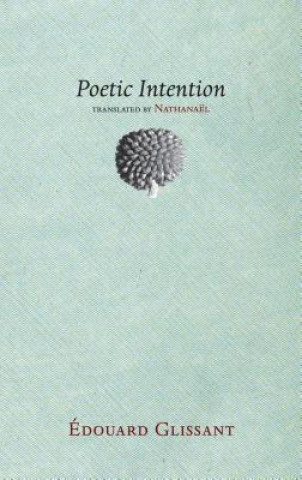 Kniha Poetic Intention Edouard Glissant