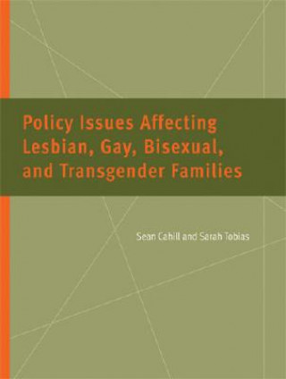 Kniha Policy Issues Affecting Lesbian, Gay, Bisexual, and Transgender Families Sarah Tobias