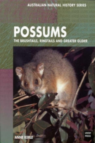 Könyv Possums Anne Kerle