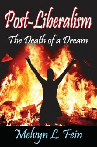 Book Post-Liberalism Melvyn L. Fein