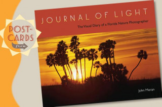 Calendar / Agendă Postcards from Journal of Light John Moran