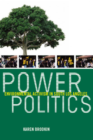 Buch Power Politics Karen Brodkin