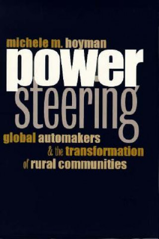 Kniha Power Steering Michele M. Hoyman