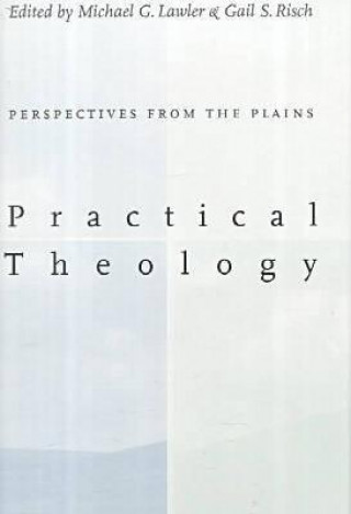 Buch Practical Theology: Gail S. Risch