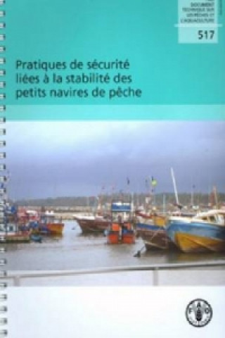 Könyv Pratiques de securite liees a la stabilite des petits navires de peche A Gudmundsson