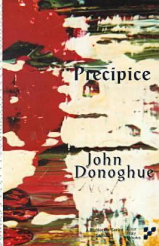 Könyv Precipice John Donoghue