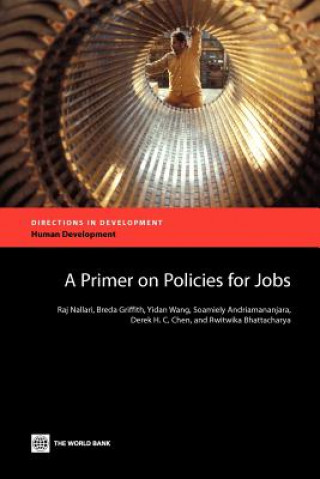 Kniha Primer on Policies for Jobs Yidan Wang