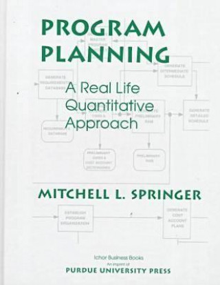 Книга Program Planning Mitchell L. Springer