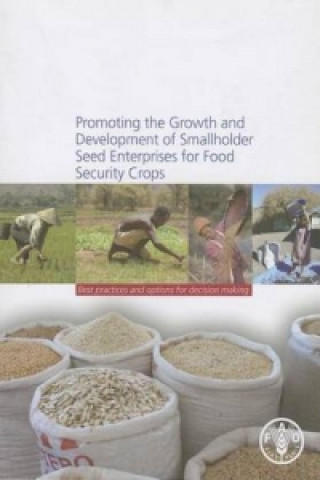 Könyv Promoting the Growths and Development of Smallholder Seed Enterprises for Food Security Crops Robert G Guei