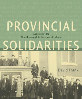 Book Provincial Solidarities David Frank