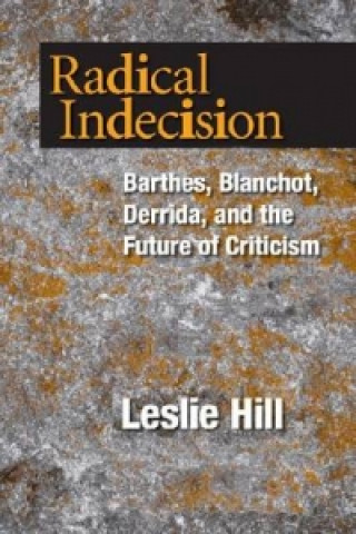 Kniha Radical Indecision Leslie Hill