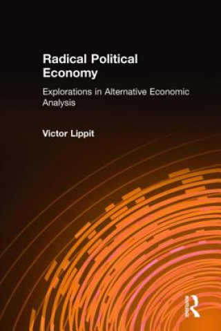 Kniha Radical Political Economy Victor Lippit