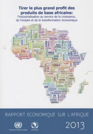Kniha Rapport Economique sur l'Afrique 2013 United Nations