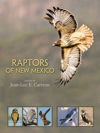 Könyv Raptors of New Mexico Jean-Luc E. Cartron