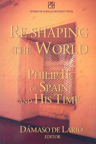 Kniha Re-shaping the World Damaso De Lario