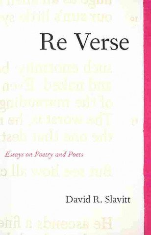 Boek Re Verse David R. Slavitt