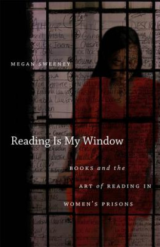 Kniha Reading Is My Window Megan Sweeney