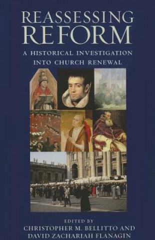 Boek Reassessing Reform David Zachariah Flanagin