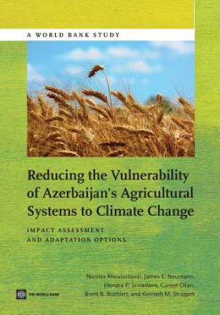 Könyv Reducing the Vulnerability of Azerbaijan's Agricultural Systems to Climate Change Kenneth M. Strzepek