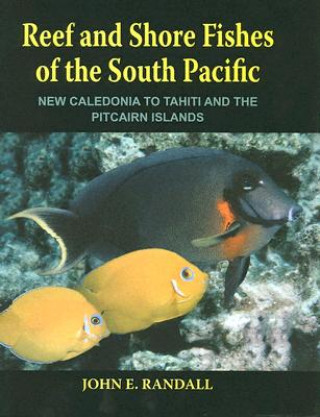 Książka Reef and Shore Fishes of the South Pacific John E. Randall