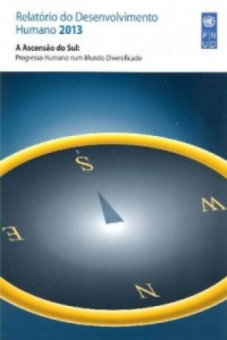 Buch Relatorio Do Desenvolvimento Humano de 2013 United Nations Development Programme