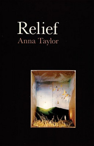 Kniha Relief Anna Taylor