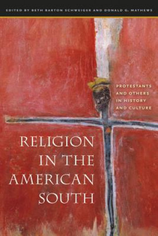 Könyv Religion in the American South Beth Barton Schweiger