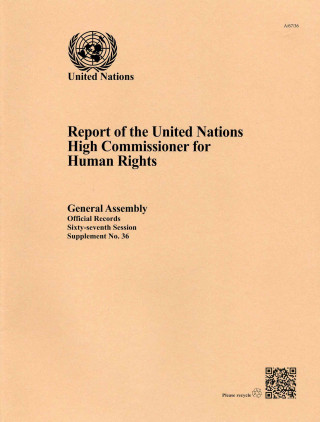 Buch Report of the United Nations High Commissioner for Human Rights 2010-2011 and 2012-2013 United Nations: Office of the High Commissioner for Human Rights