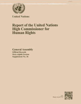 Buch Report of the United Nations High Commissioner for Human Rights United Nations: Office of the High Commissioner for Human Rights