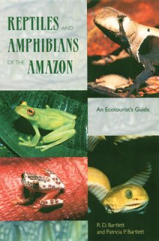 Kniha Reptiles and Amphibians of the Amazon Patricia P. Bartlett