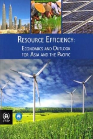 Knjiga Resource Efficiency Heinz Schandl